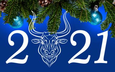 С Новым 2021 Годом и Рождеством!