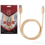Кабель Energy ET-01 USB/Type-C, золотой