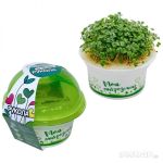 Набор для выращивания микрозелени "Моя микрозелень РУКОЛА"